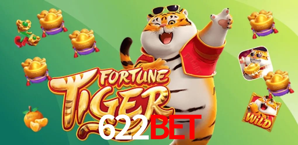 Experiência VIP 622bet